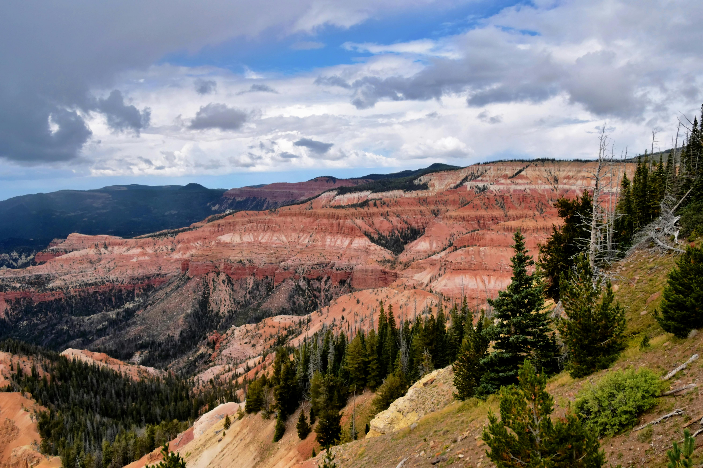 springdale, utah (4).webp